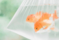 ​男生伤感的句子大全-53句