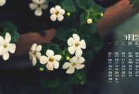 ​唯美伤感图片带字精选38句