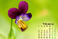 ​微信网名男伤感繁体字