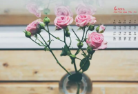 ​伤感图片带文字的图片优选41句