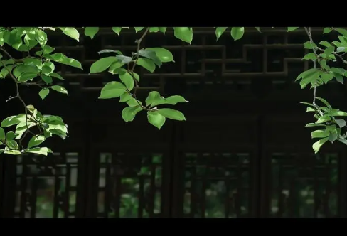 1712858525799444.png image.png