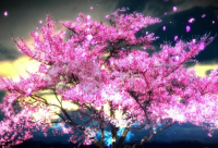 ​简单又好听的古风名字(359个)