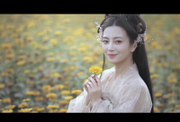 ​古风诗意的网名(精选333个)