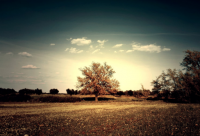 ​古风淡雅脱俗的微信名(共242个)