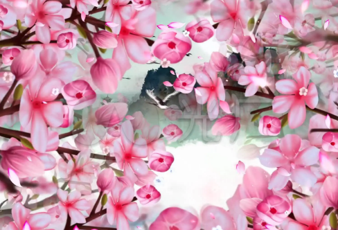 1712873211801811.png image.png