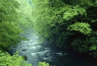 ​五字押韵妖娆古风网名(精选190个)