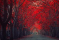 ​古风古韵情侣名字带符号(精选84个)