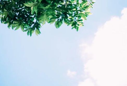 1712883551239471.png image.png