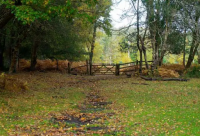 ​冰冷的黑暗系古风名字有神秘感(共147个)