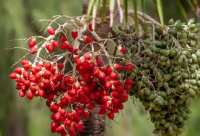 ​古风游戏情侣名(66个)