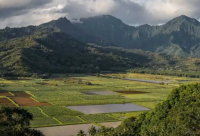 ​好听的名字男孩古风网名大全(精选93个)