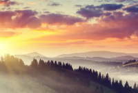 ​带凤字的网名霸气的