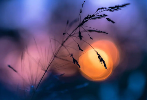 1712905340341973.png image.png