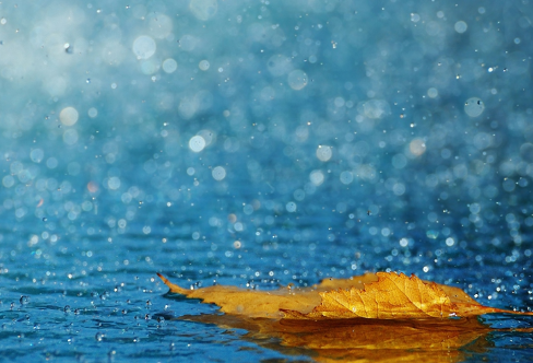 1712905674598399.png image.png