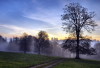 ​带冷字的网名霸气