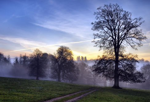 1712906008482816.png image.png