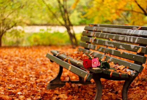 1712906342348729.png image.png