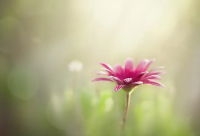 ​带凡字威武霸气的网名