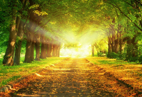 1712907176382896.png image.png