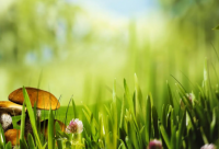 ​带冷字的网名男士霸气英文