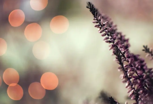 1712907677108633.png image.png