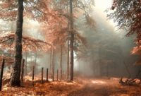 ​带冰雪的名字女网名霸气