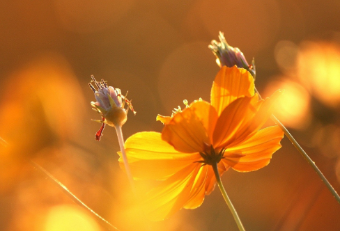 1712908345548655.png image.png