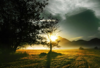 ​带兰字的女生霸气网名