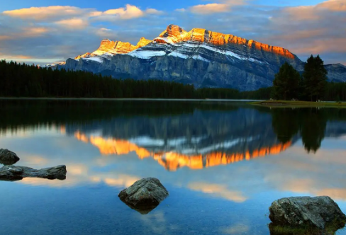 1712909847615139.png image.png