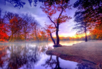 ​带兰梅的网名女生霸气