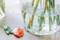 ​女孩带剑字的网名霸气