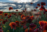 ​带云字霸气的女生网名