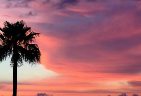 1712911683899364.png image.png