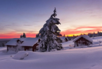 ​带丁字的古风网名女士霸气