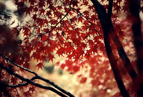 1712912518845359.png image.png