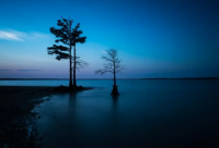 ​带丁的霸气王者网名