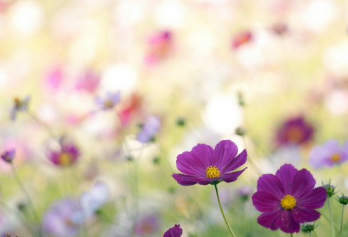 1712913854112330.png image.png