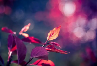 ​带冰凌的昵称女生霸气网名