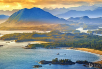 ​带兰的霸气名字女生网名