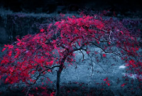 ​带丁字的男网名霸气高冷