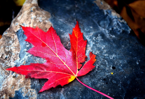 1712915690396709.png image.png