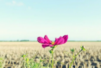 ​带佳字儿的霸气网名