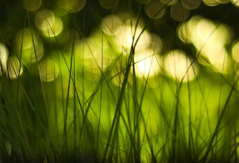 1712916358734810.png image.png