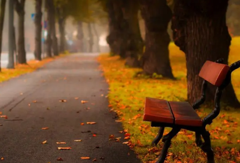 1712916692105866.png image.png