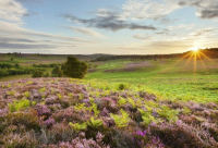 ​女生带菲的网名大全霸气