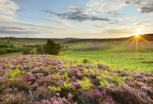 1712917860510916.png image.png