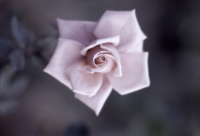 ​带冰冰字的男生网名霸气