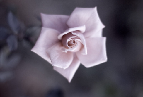 1712918193316283.png image.png