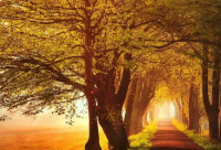 ​名字带玉的网名女孩霸气