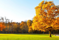 ​带冰字的网名霸气点